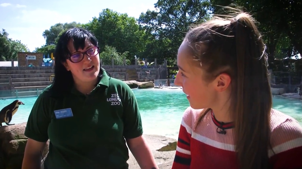 What is it like to be a Zookeeper?