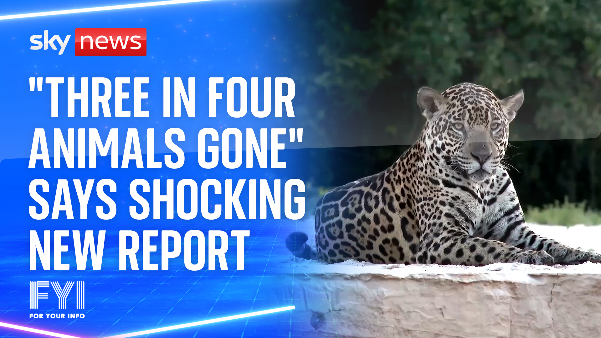 OMG! “Three in four animals gone” says shocking new report