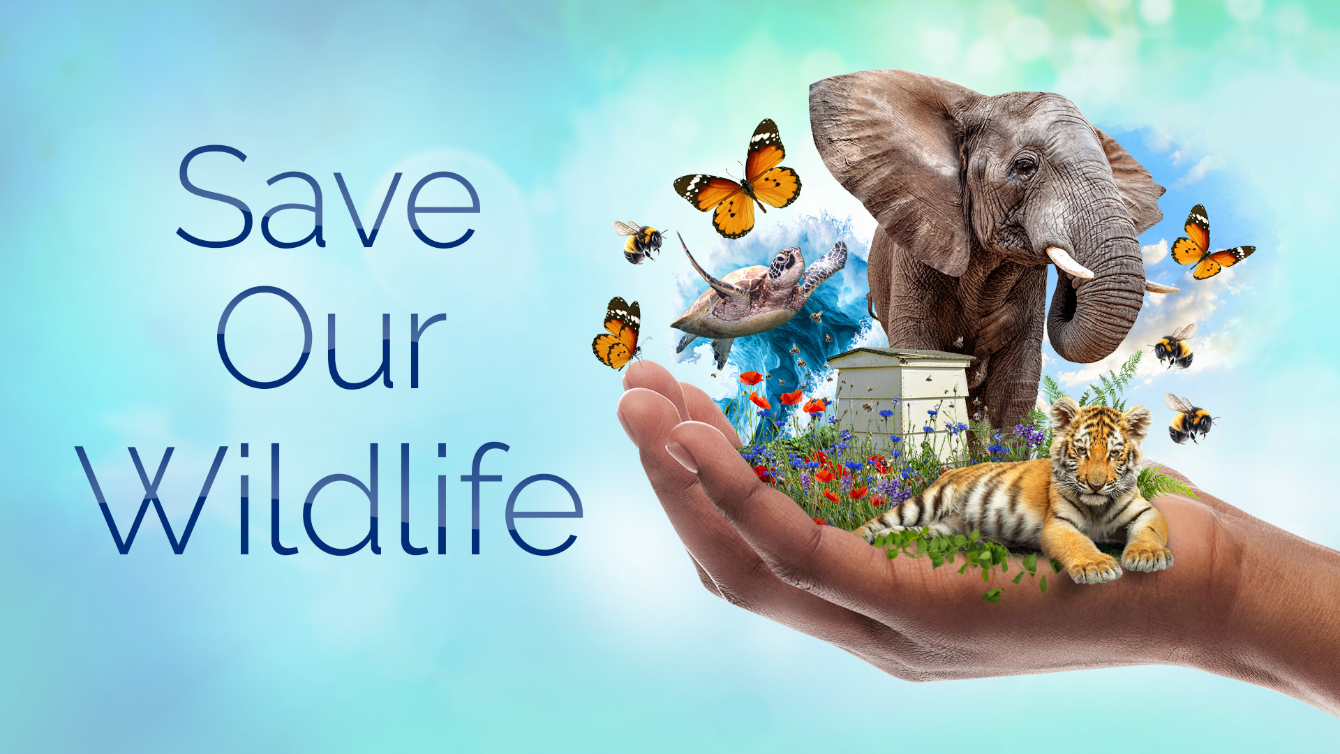 Save Our Wildlife