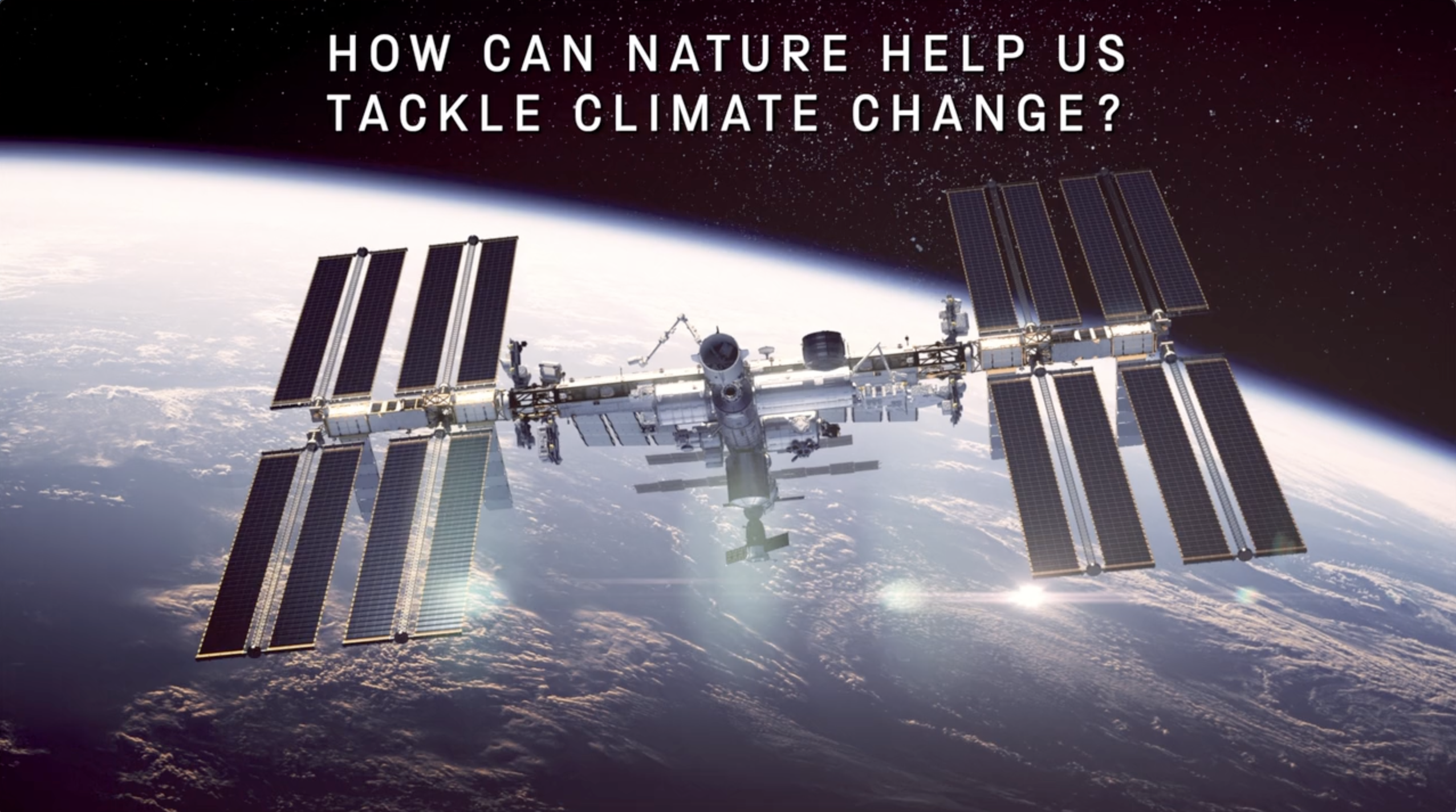 How can nature help us tackle climate change?