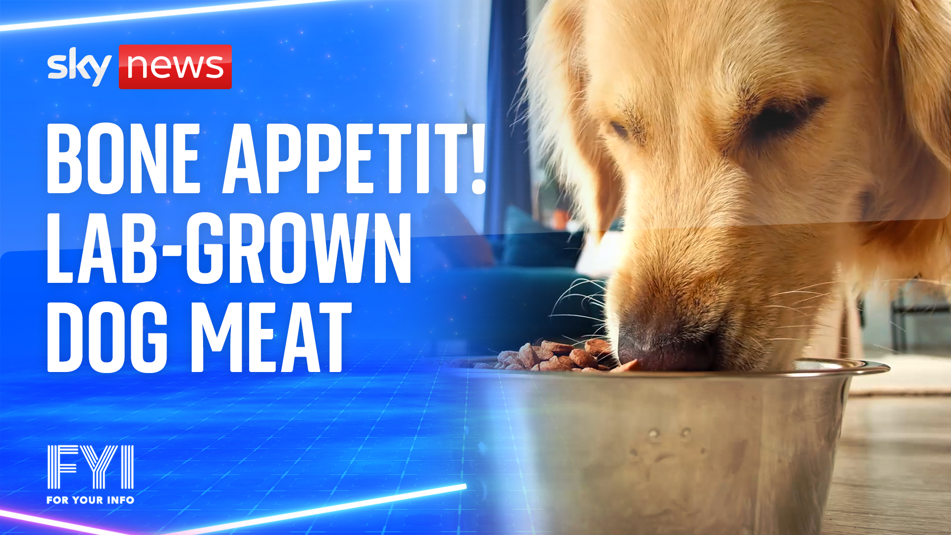 Bone appetit! Lab-grown dog meat