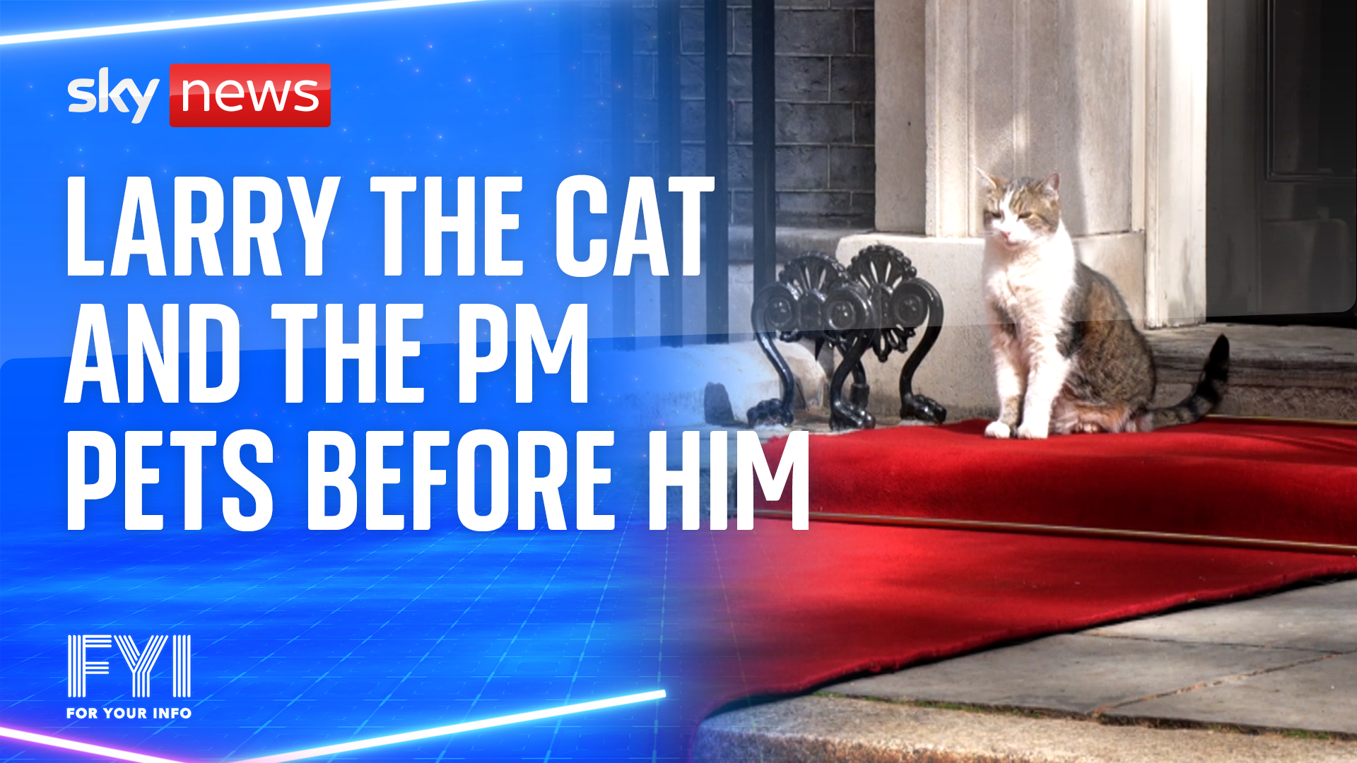 Larry the cat and the PM pets before him