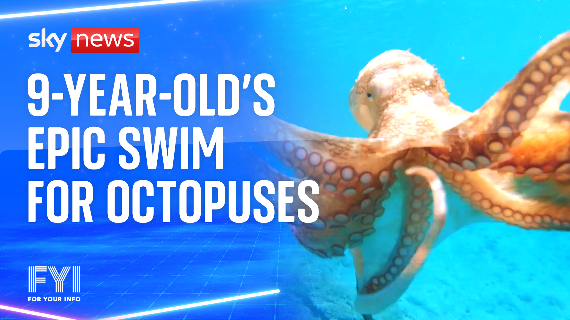 Nine-year-old’s epic swim for octopuses