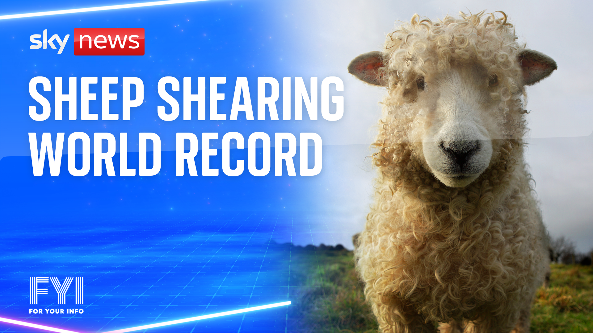 OMG! Sheep shearing world record