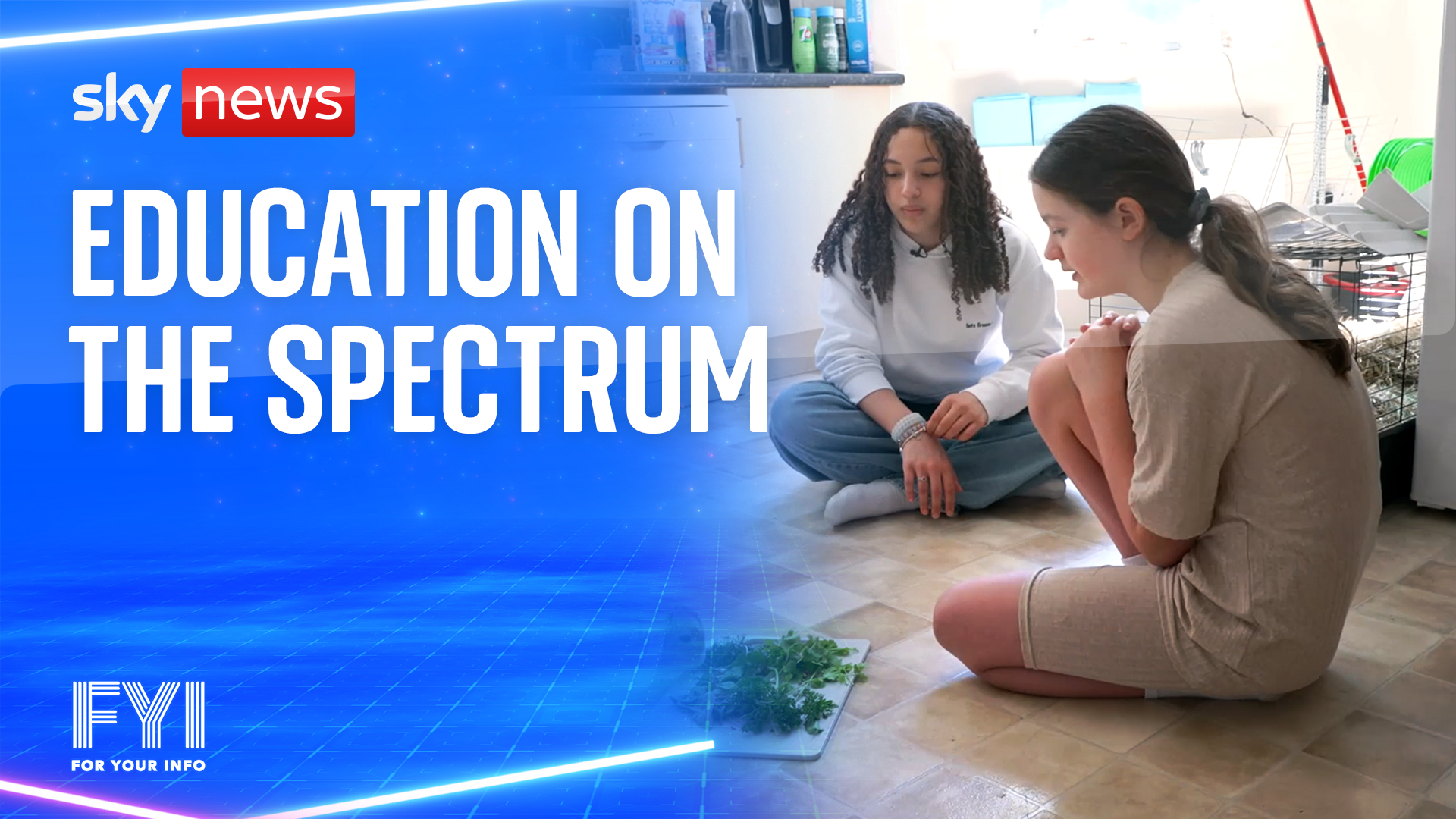 Education on the spectrum